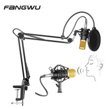 Microphone à condensateur de haute qualité N eewer Bm 700 800 avec filtre anti-pop sur support de bras